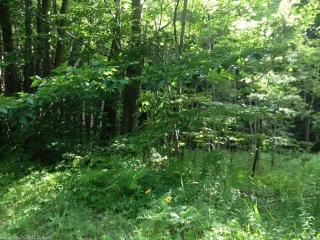 75 Beech Hill Rd, Colbrook, CT 06021-7029