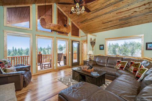 436 Bear Ln, Fairplay, CO 80432-9800