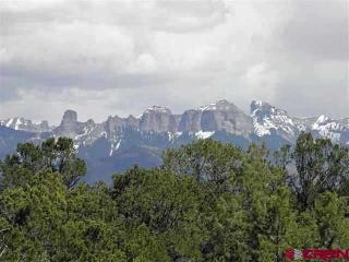 169 Crestwood Dr, Ridgway, CO 81432-9694