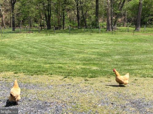 4960 Slanesville Pike, Points WV  25437-3609 exterior