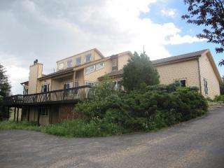 3622 Winnebago Dr, Deckers CO  80135-8975 exterior