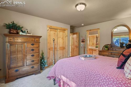 133 Elk Grove Ln, Woodland Park CO 80863-9171 exterior