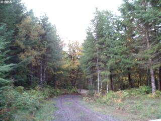 4218 Upper Smith River Rd, Drain, OR