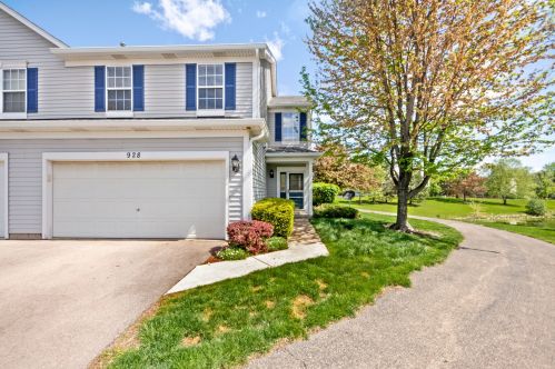 928 Moultrie Ct, Naperville, IL 60563-4224