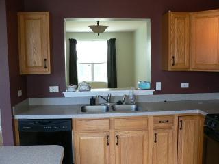 997 Ellsworth Dr, Volo IL  60030-3365 exterior