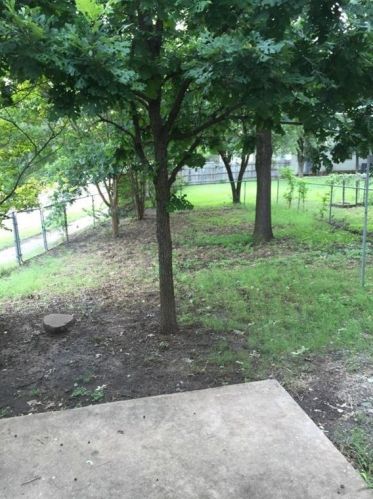 8615 Bowling Green Dr, Austin TX  78757-7019 exterior