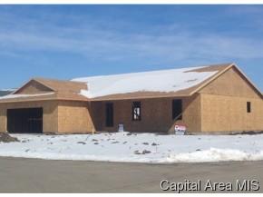 602 Willows Ave, Chatham, IL 62629-1714