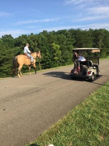 49 Horse Cove Ct, Big Canoe GA  30143-0056 exterior