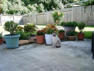 2215 Cory Crossing Ln, Spring TX  77386-1836 exterior