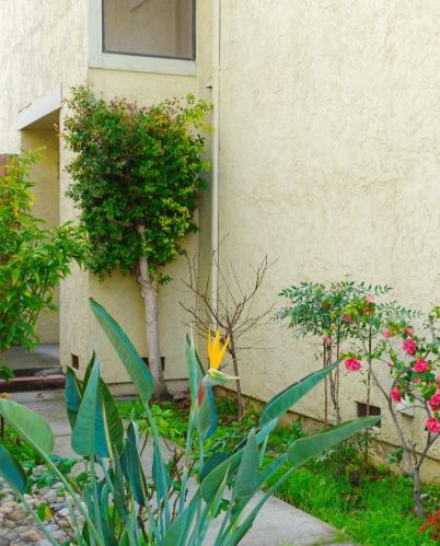 1672 River Birch Ct, San Jose, CA 95131-3151
