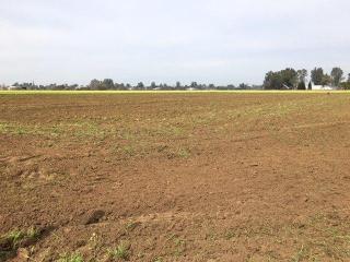 2505 Greenwood Ave, Tivy Valley, CA 93657-8530