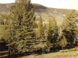 37 Sage Rd, Montezuma CO  80435-8484 exterior