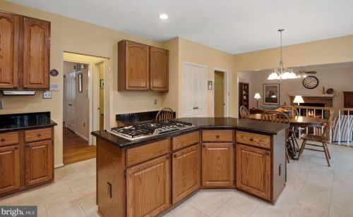 704 Pebble Bch Dr, Silver Spring MD 20904-3576 exterior