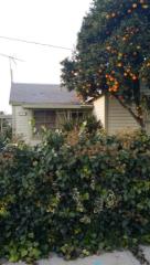 343 Benito St, Soledad, CA 93960-2603
