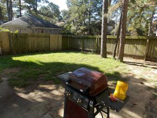 8931 Driftstone Dr, Spring TX  77379-6376 exterior