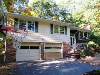 268 Alpine Trl, Sparta, NJ 07871-1344