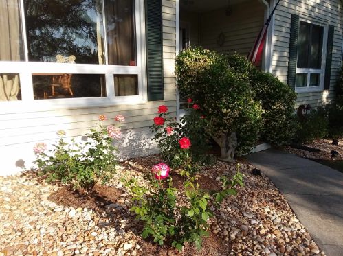 180 Crown Forest Dr, Mcdonough, GA 30252-3668