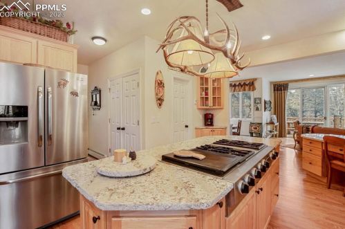 725 Sun Valley Dr, Woodland Park CO 80863-9089 exterior