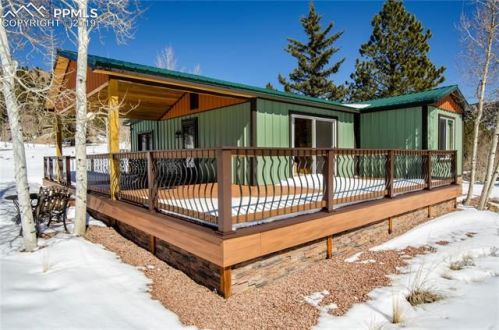 129 Sunfish Dr, Tarryall, CO 80827-9209