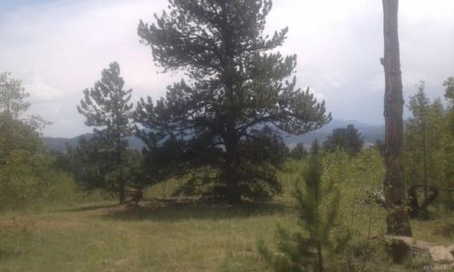 372 Spade Pl, Fairplay, CO 80456-9760