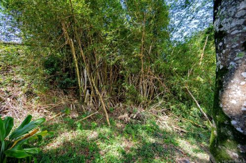 2550 Waiomao Rd, Honolulu HI 96816-3455 exterior