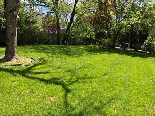 1512 Jersey Ct, Buffalo Grove, IL 60089-6849