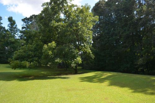 1455 Pates Creek Rd, Stockbridge GA  30281-4929 exterior