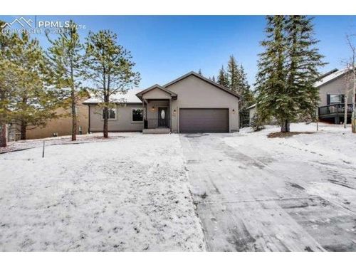 1113 Ptarmigan Dr, Woodland Park CO  80863-8004 exterior