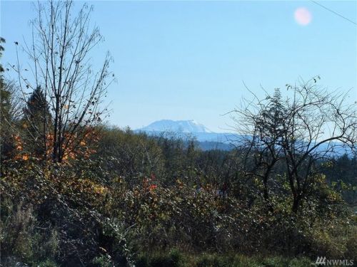 208 Wirsdorfer Rd, Alpha, WA 98570-9629
