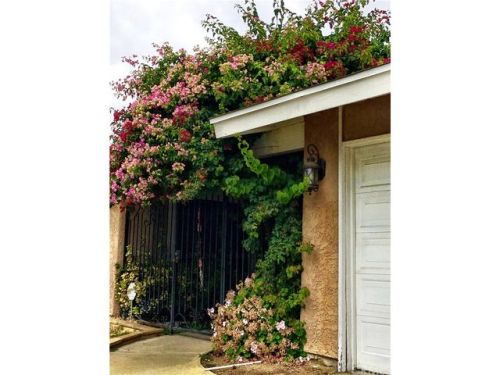 947 15th St, Upland, CA 91786-2268