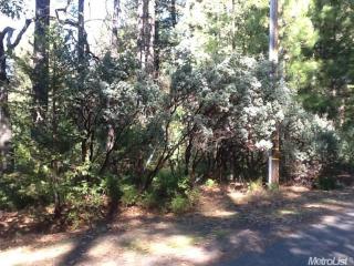 7028 Stope Ct, Swansboro Country, CA 95667-8333