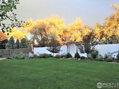 6922 23 St, Greeley CO 80634-7927 exterior