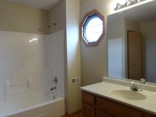 481 Pheasant Chase Dr, Lemont IL  60490-4514 exterior