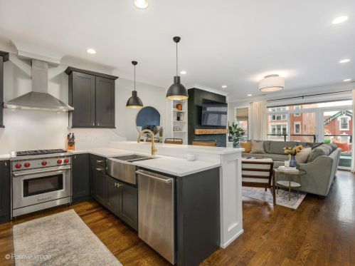 1084 Hermitage Ave, Chicago, IL 60622-3258