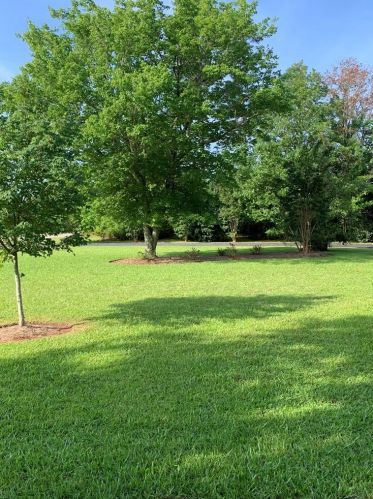 3386 Martintown Rd, Meeting Street, SC 29824-3114