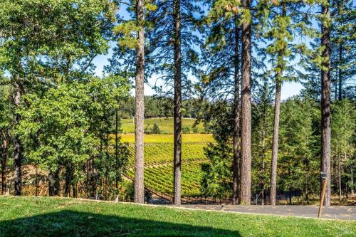 1155 Las Posadas Rd, Angwin, CA 94508-9610