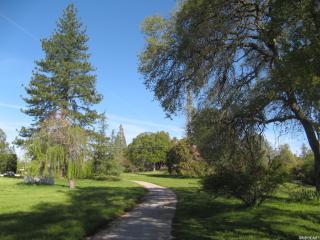 2071 Royal View Dr, Swansboro Country, CA 95667-9639