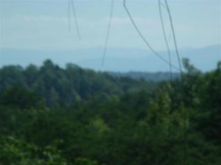 2935 Buck Horn Rd, Pigeon Forge, TN 37876-5877