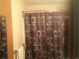 4423 Delta Queen Ln, Godfrey IL  62035-2018 exterior