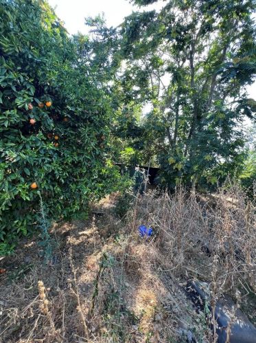 3538 Harding St, Riverside CA  92506-2636 exterior