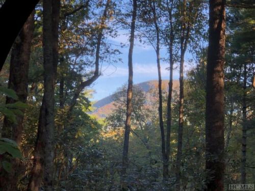 2346 Upper Whitewater Rd, Sapphire, NC 28774-5501