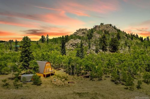 298 Outlaw Ct, Fairplay CO  80456-9762 exterior