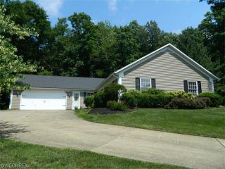 7623 Oakridge Dr, Concord Township, OH 44060-7235