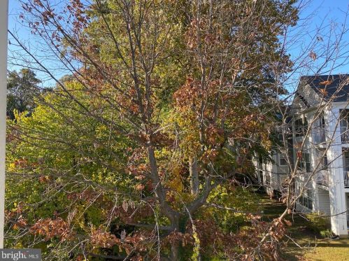 14202 Wolf Creek Pl, Silver Spring MD  20906-6195 exterior