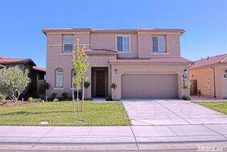4203 Aplicella Ct, Manteca, CA 95337-8480