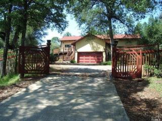 7808 Mount Aukum Rd, Omo Ranch, CA 95684-9203