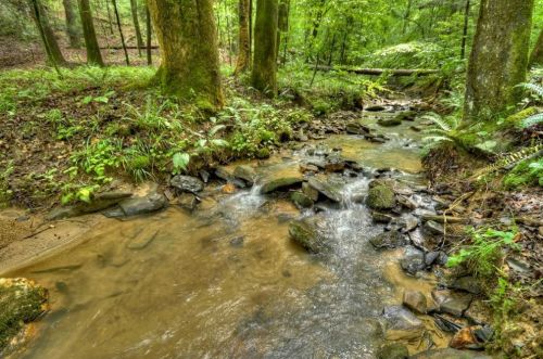 914 Lemmon Ln, Ellijay, GA 30540-8817