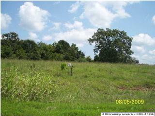 6 Byhalia Creek Farms Rd, Byhalia, MS 38611
