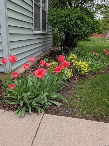 1050 Amherst Ave, Englewood CO 80113-1756 exterior