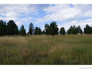 11865 Ponderosa Ln, Kiowa, CO 80117-8872